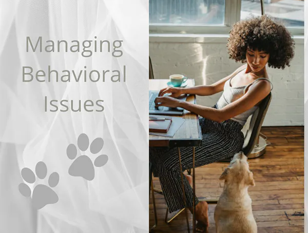 Managing behavioral issues in teenage dogs