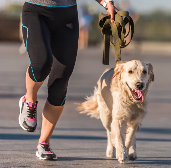 How Positive Reinforcement Works